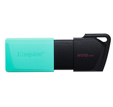 Kingston 256 GB USB 3.2'